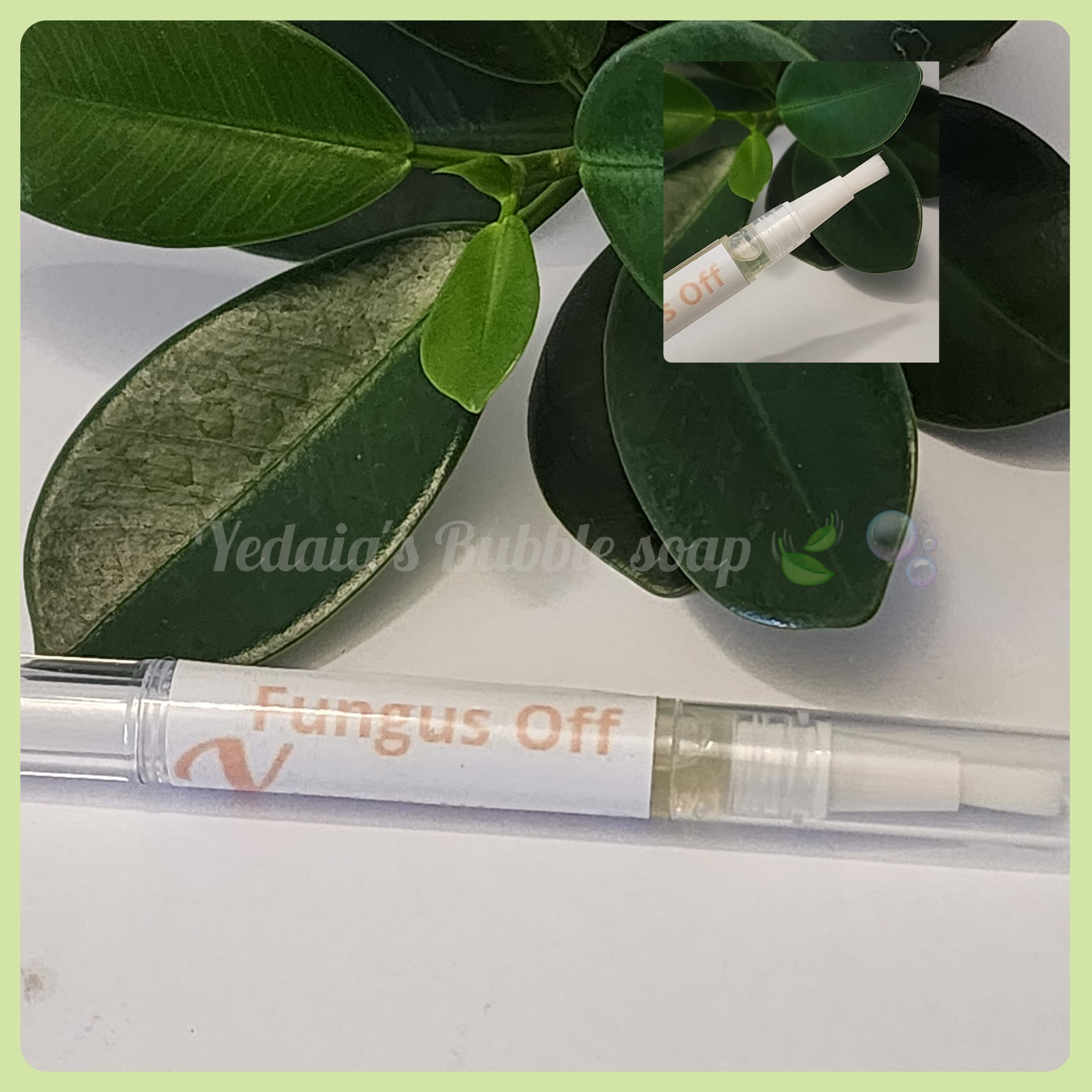 Aceite Fungus Off | Tratamiento Natural para Uñas