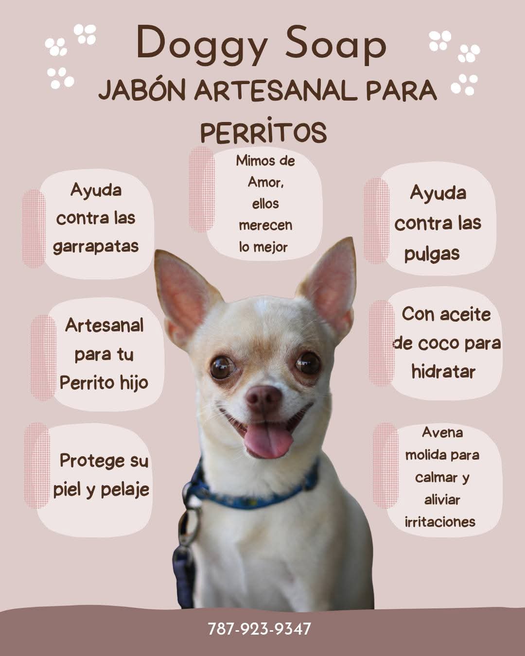 🐾 Doggy Soap | Jabón Artesanal para Perros
